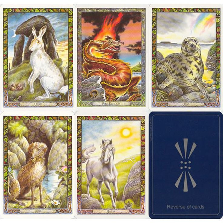 Card & Book Set: The Druid Animal Oracle