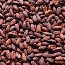 Criollo Cacao beans from Peru