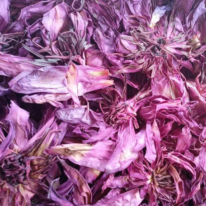 Dried Red lotus (Unshredded flowers)