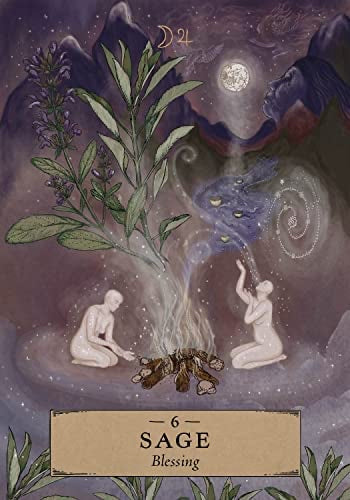 Herbal Astrology Oracle (Pocket size)