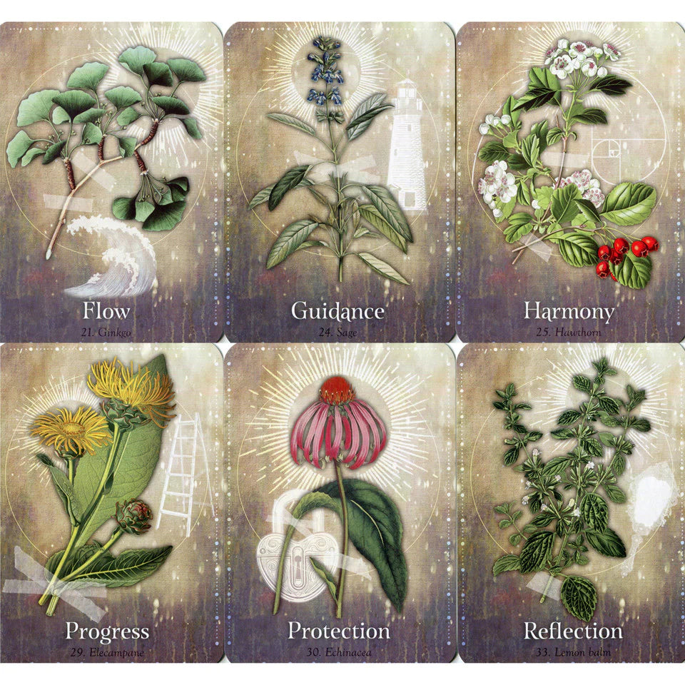 Magickal Herb Oracle