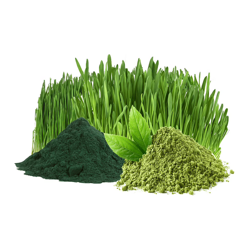 Green Blend powder – Sacredlotus.eu