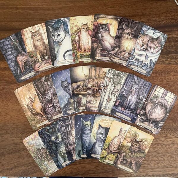 Soul Cats Tarot