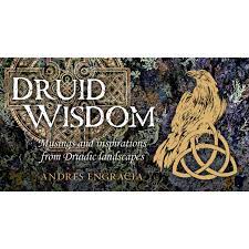 Mini Cards: Druid Wisdom Cards