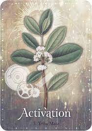 Magickal Herb Oracle