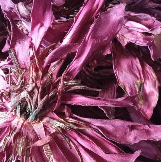 Dried Red lotus (Unshredded flowers)