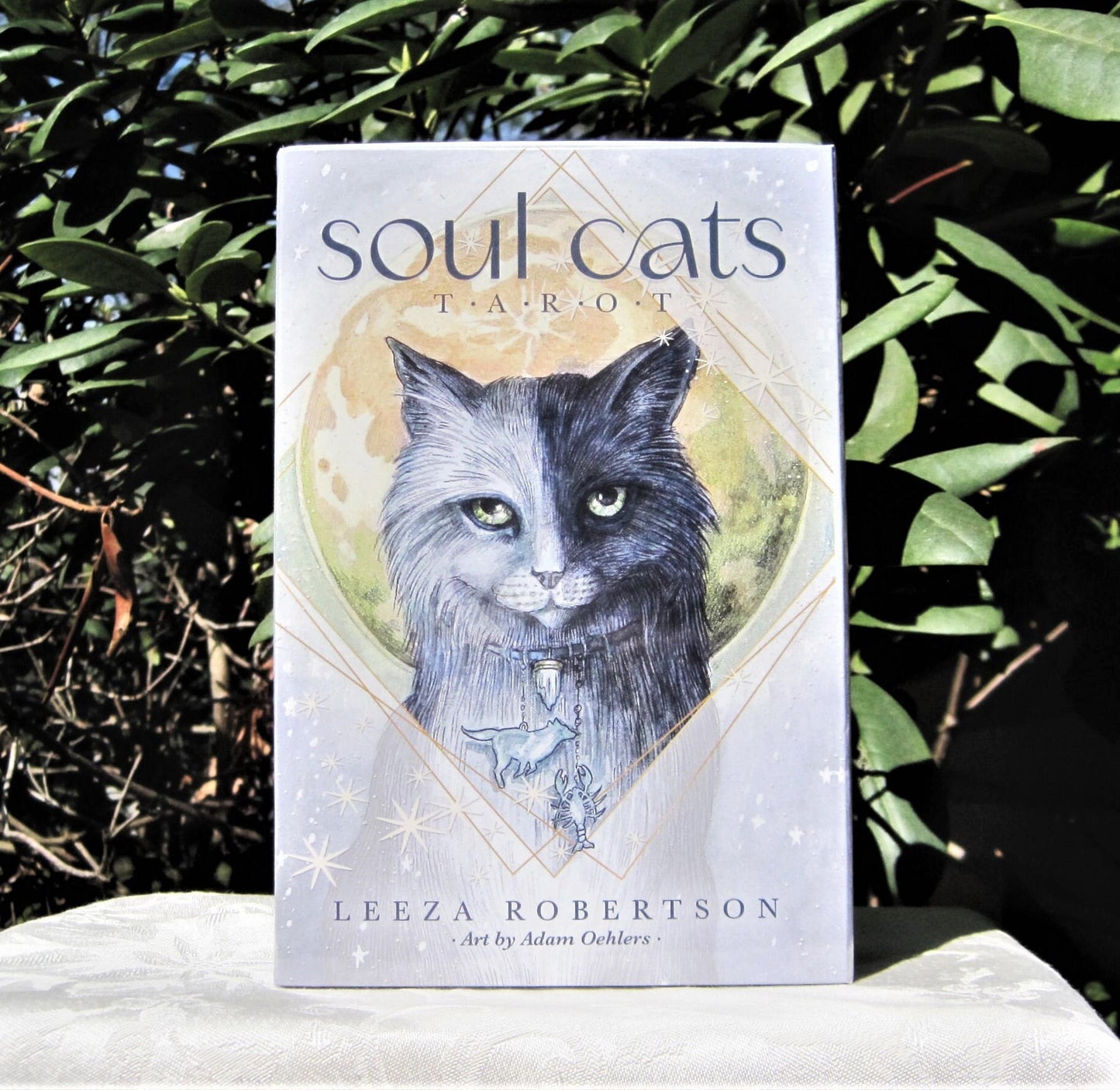 Soul Cats Tarot