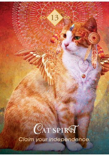 Spirit Animal pocket oracle cards